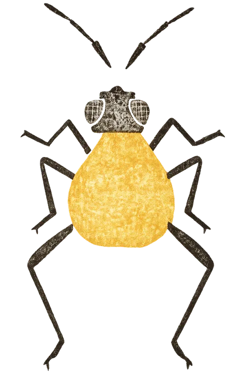 Bug illustration