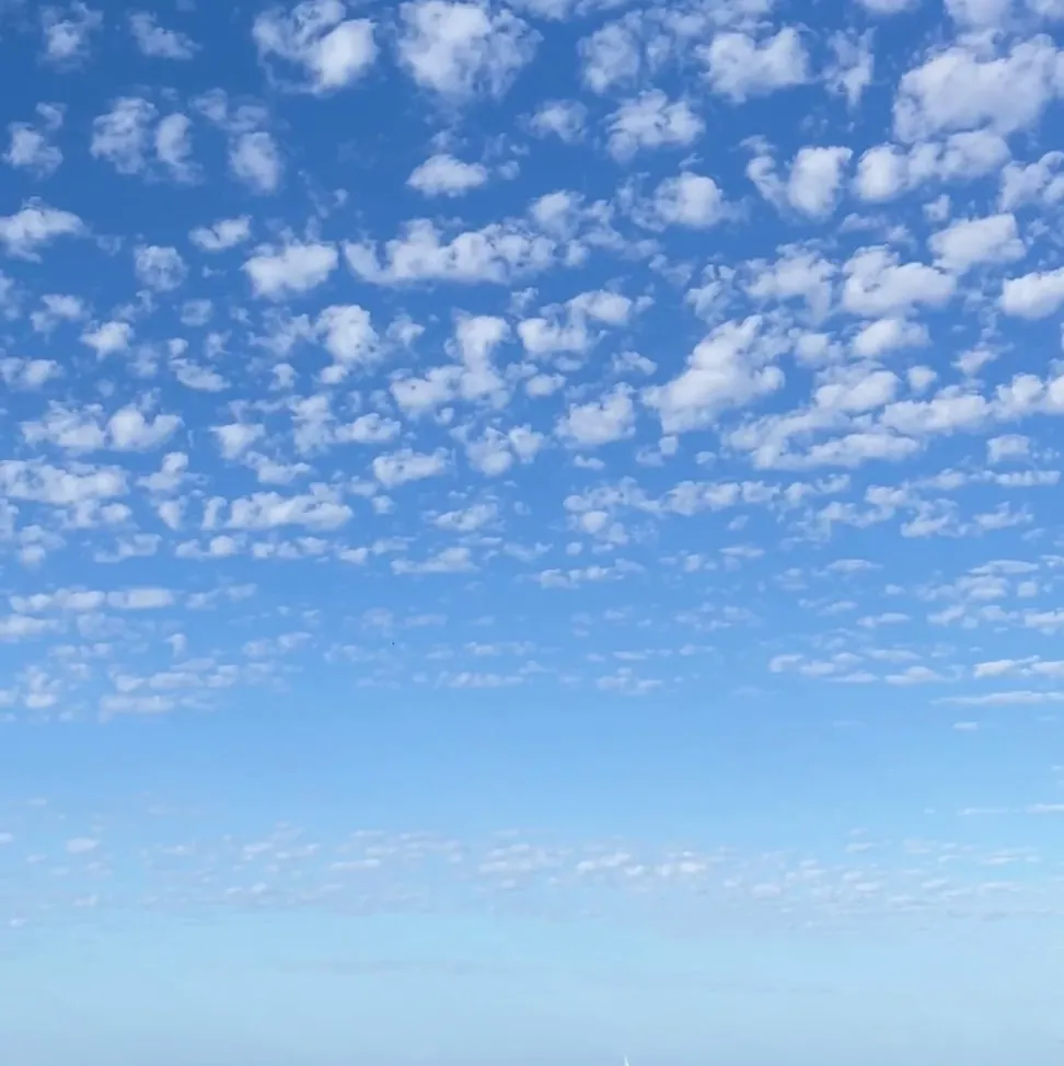 Short Form Video